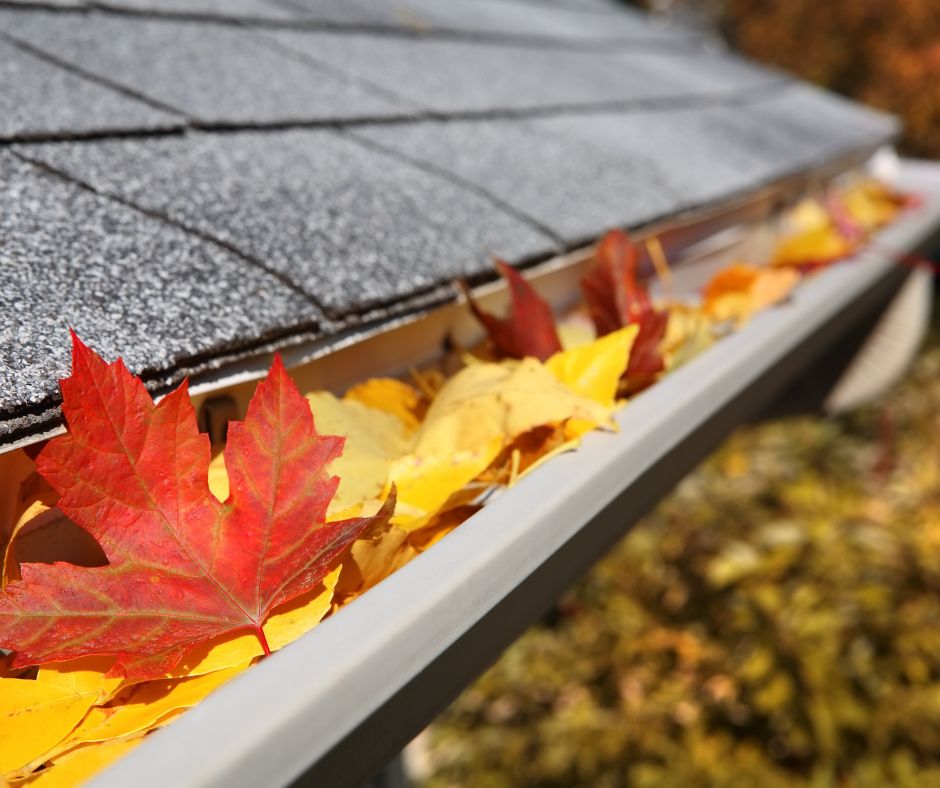 gutter cleaning East Melbourne
